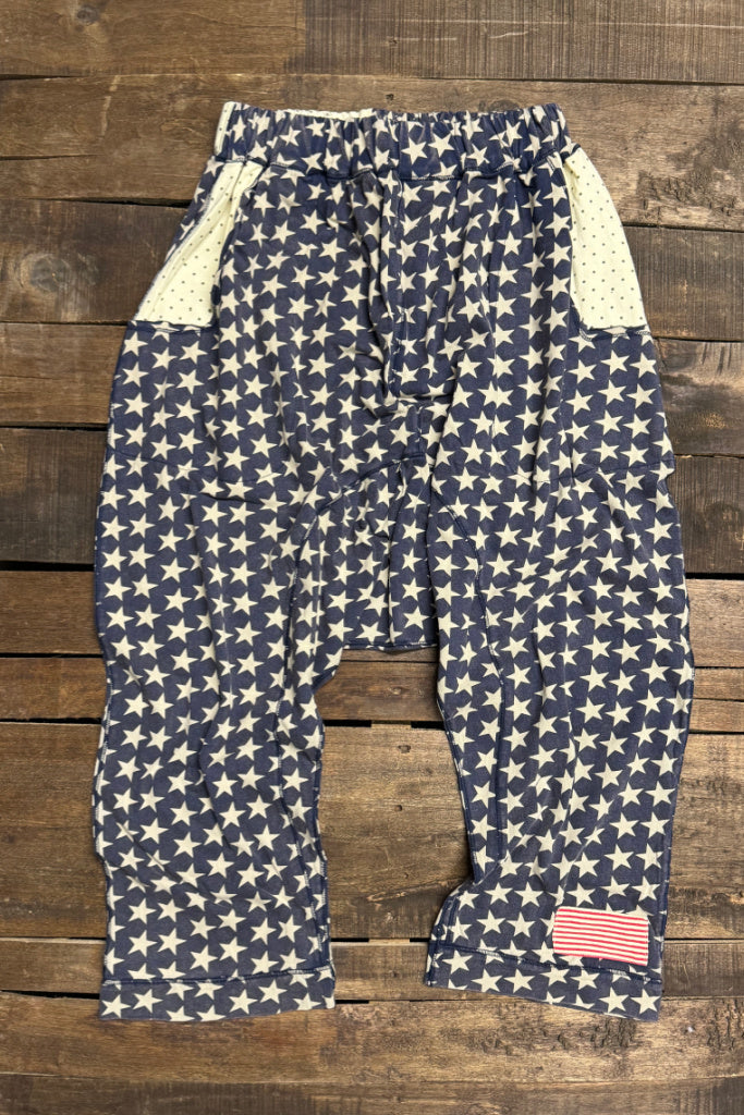 Stars at Night Pants